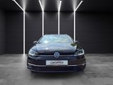 Volkswagen Golf VII 1.6 TDI BMT/DSG/Mirror-Link/LED/Navi... - Volkswagen Golf mit Diesel-Antrieb: Alcantara