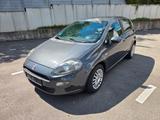 Fiat Punto 1.4 8V  gepflegt technisch einwandfrei - Fiat Punto Gebrauchtwagen in Stuttgart