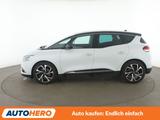 Renault Scenic 1.7 Blue dCi BOSE-Edition *NAVI*TEMPO*PDC - Renault: 7