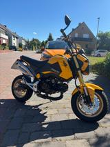 Honda Msx 125  - HONDA MSX 125