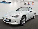 Mazda MX-5 2.0 SKYACTIV-G 160 Sports-Line Navi - gebrauchte Mazda Cabrios