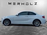 BMW 218i Coupe M Sport Shadow 1.Hand *Traumzustand* - BMW 218 Gebrauchtwagen