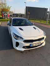 Kia Stinger 3.3 T-GDI AWD GT GT - weiße Kia Stinger