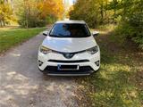Toyota RAV 4 Executiv Hybrid/Benzin Allrad/Euro6 - weiße Toyota RAV 4
