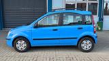 Fiat Panda 1.2 8V Dynamic KLIMA/HU*NEU/ALLWETTER - Fiat Panda in Freiburg