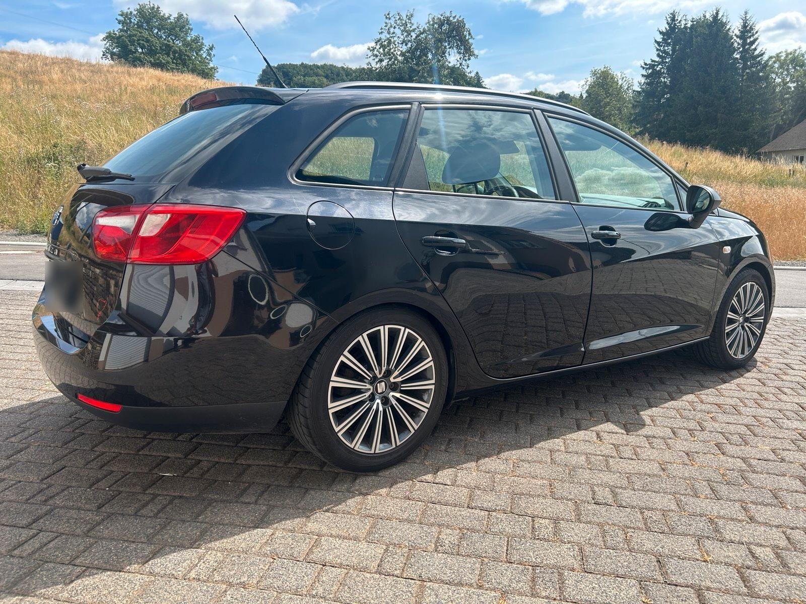 Seat Ibiza 2010 — rear view