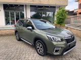 Subaru Forester 2.0 e-Boxer MHEV CVT Lineartroni - Subaru Forester mit Hybrid-Antrieb