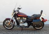 Harley-Davidson XL883L  SPORTSTER LOW  - HARLEY-DAVIDSON SPORTSTER XL 883