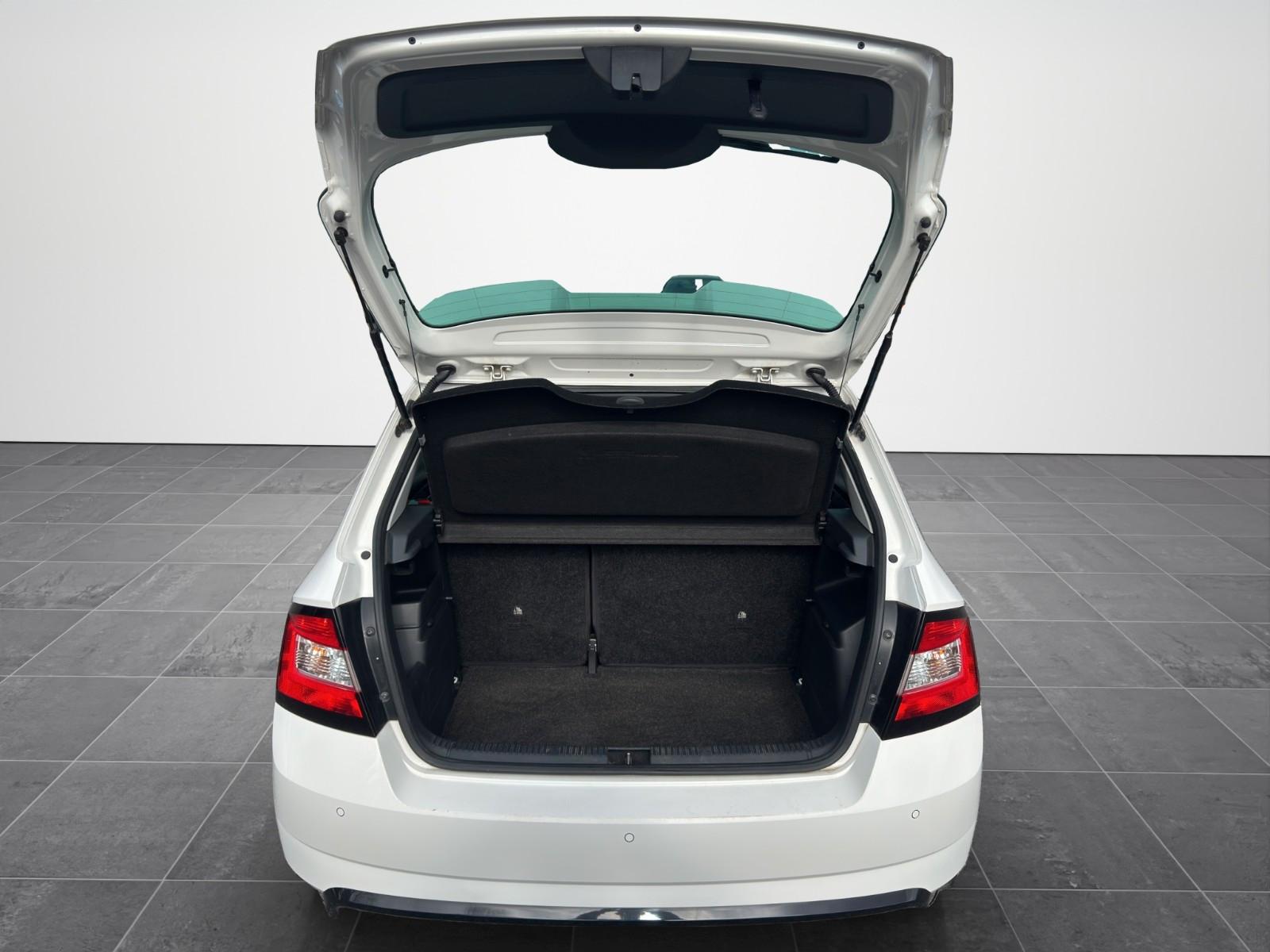 Skoda Fabia Monte Carlo*Panorama