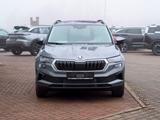 Skoda Karoq DSG Smart Link Kamera Navi AHK - Skoda Karoq