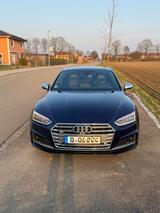 Audi S5 3.0 TFSI tiptronic quattro - - Audi S5 mit Benzin-Antrieb: Leder, Sportwagen