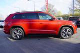 Skoda Kodiaq 1.5 TSI Sportline LED Navi 4x Sitzheizung - rote Skoda Kodiaq