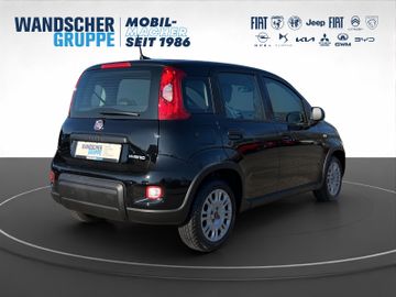Fiat Panda Hybrid 1.0 GSE Klma+DAB+Isofix+Allwetter