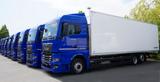 MAN TGX 26.400 / NEW IGLOOCAR refrigerator 20 EPAL - Angebote
