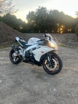 Aprilia Rsv4 Checkheft/Super gepflegt  - APRILIA 2010 RSV4