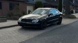 Mercedes-Benz Mercedes Benz CLK 500 LPG HU/AU Neu! - Mercedes-Benz CLK-Klasse: Limousine