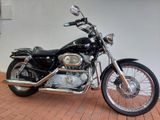 Harley-Davidson Sportster XL1 883 - Offers matching your search criteria