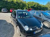 Volkswagen Lupo 3L TDI  TÜV 07/2027  8fach bereift  - Volkswagen Lupo mit Diesel-Antrieb: 3l