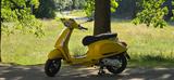 Vespa Primavera S 50 Sprint Sondermodell Giallo - VESPA PRIMAVERA 50 S
