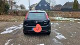 Fiat punto - Fiat Punto in Bremen
