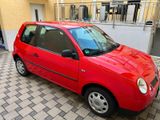 Volkswagen Lupo 1.4, Klima, Tüv neu, Sommer- & Winterreifen - Volkswagen Lupo: Rot