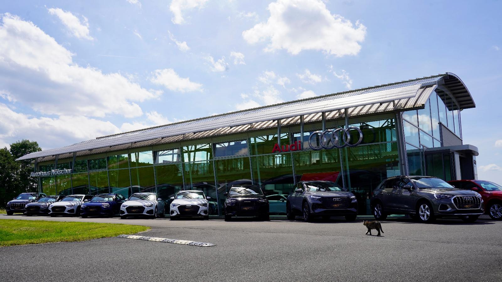 showroom-image-main