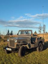 Jeep Willys - Jeep Willys von privat