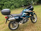 Yamaha Tenere XTZ660 / 3YF - YAMAHA XT 660 TENERE