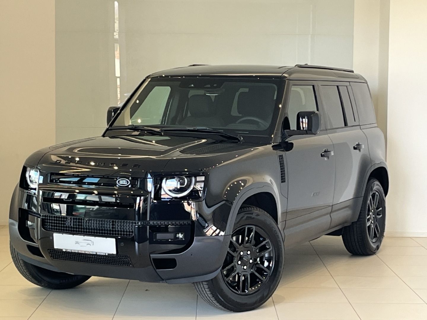 Land Rover Defender 110 D200 S Luftfederung AHK Panorama