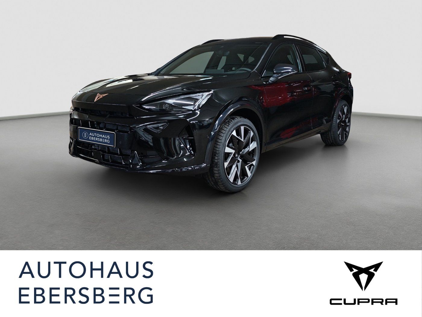 Cupra Formentor VZ 195 KW DSG MATRIX AHK 360° Connect