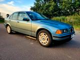 BMW 318i E36 Youngtimer Rostfrei 2. Hand - BMW 318: Grün