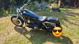 Harley-Davidson Dyna Street Bob FXDB - Offers matching your search criteria