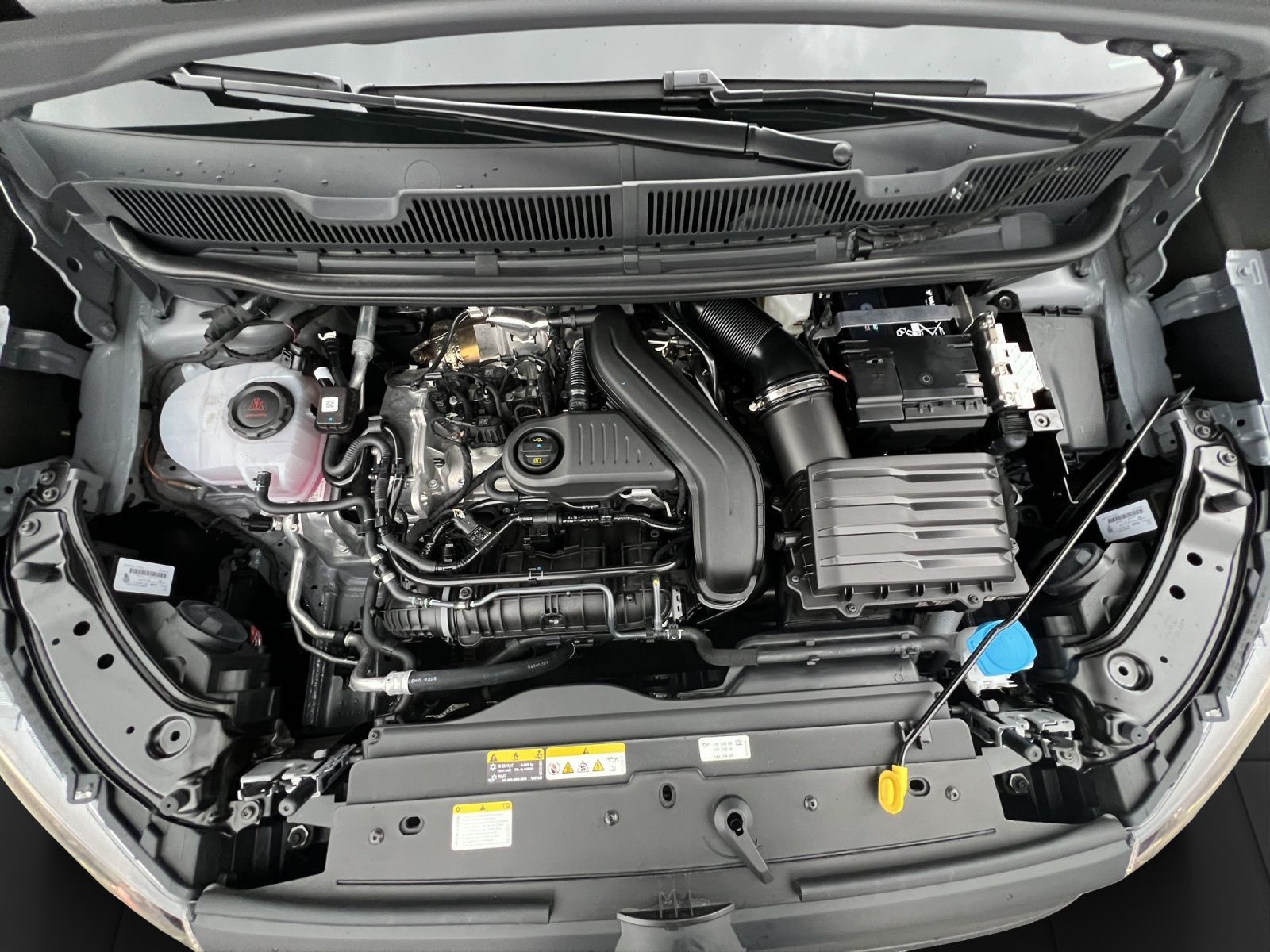 Caddy Cargo Maxi 1,5 l 85 kW TSI EU6 Frontantrie