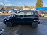 Fiat Panda 1.2 8V Dynamic - Fiat Panda: 1.1