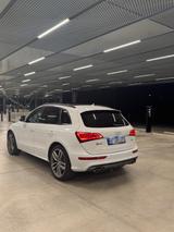 Audi SQ5 3.0 TDI Competition - Audi SQ5 in Bielefeld