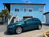 Volkswagen Golf 7 Comfortline 1.6TDI mit ACC und Garantie! - Volkswagen Golf: Grün