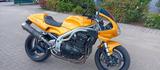 Triumph TÜV neu!!! Triumph Daytona 955i - TRIUMPH DAYTONA 955I