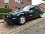 BMW 525i , E34, KLIMA, LEDER, SCHIEBEDACH,... - BMW 525 aus 1993: 525i