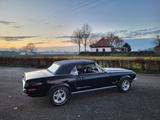 Ford Mustang Cabrio, J-Code, 302ci V8, Top-Zustand! - Ford: 302