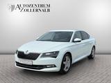 Skoda Superb Lim. 1.8 TSI DSG *ACC*CANTON*AHK*STDHZG* - Skoda Superb mit Benzin-Antrieb: Limousine, Automatik