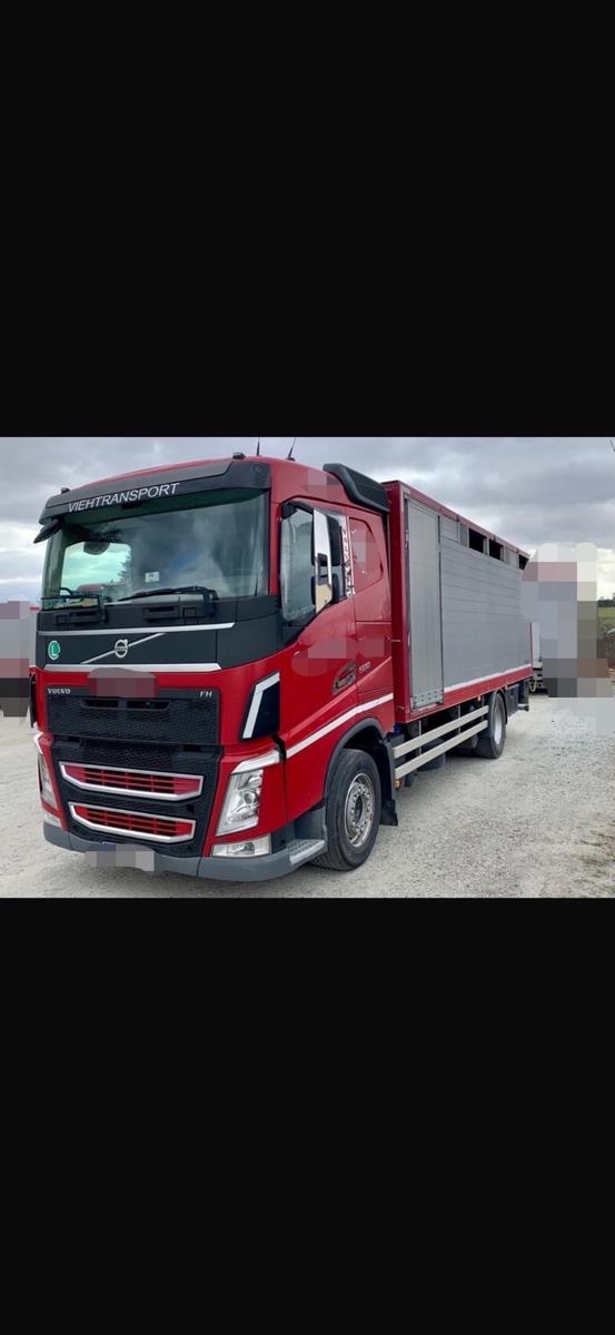 Volvo FM 500 VIEHTRANSPORTER