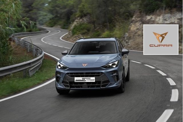 Terramar 2.0 TSI 150kW DSG 4Drive A.View AHK