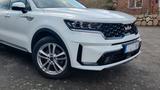 Kia Sorento 1.6 T-GDI Plug-in Hybrid AWD Spirit AHK - Kia Sorento Spirit mit Hybrid-Antrieb (Benzin/Elektro)