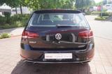 Volkswagen Golf VII 1.0 TSI Navi App Connect PDC AHK ACC - Used cars