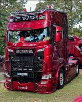 Scania V8 770/660/590 LOWDECK - we want to buy ! - Tier-/Pferdetransport 7 5 t