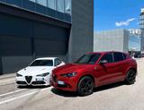 Alfa Romeo Suche!!, Alfa Giulia Quadrifoglio oder Ste... - Alfa Romeo Stelvio: Quadrifoglio