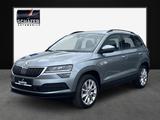 Skoda Karoq Style Navi Totwinkel Kamera Memory
