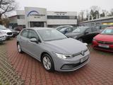 Volkswagen Golf VIII Lim. 1.5 TSI - Volkswagen Golf Neuwagen: Grau