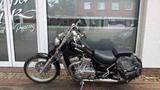 Suzuki VS 800 GL Intruder - SUZUKI VS800