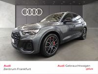 Audi SQ5 - Vorschau Bild 1